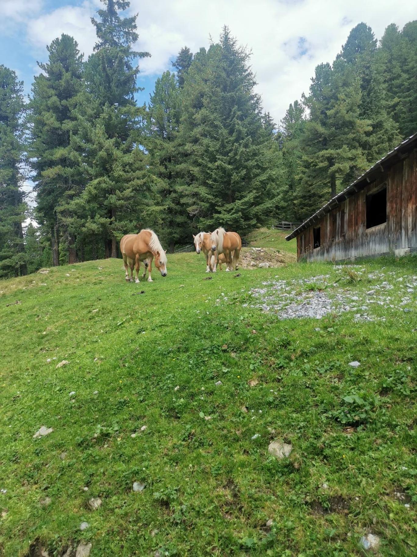 Pitztal Living Aparthotel Jerzens Exteriör bild